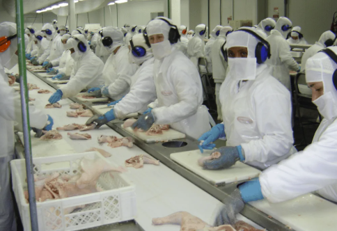 MPT firma acordo com frigorífico de Encantado (RS) para proteger gestantes expostas a ruído extremo