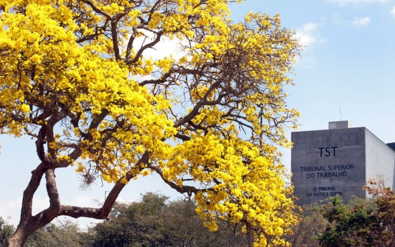 TST suspende penhora de 30% sobre Benefício de Prestação Continuada de mulher de 80 anos