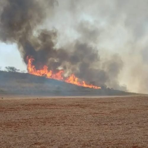 Trabalhador que sofreu queimaduras ao atravessar canavial em chamas será indenizado 