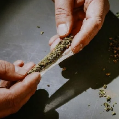 TRT-6 mantém demissão por justa causa de funcionário que guardava maconha em alojamento do trabalho