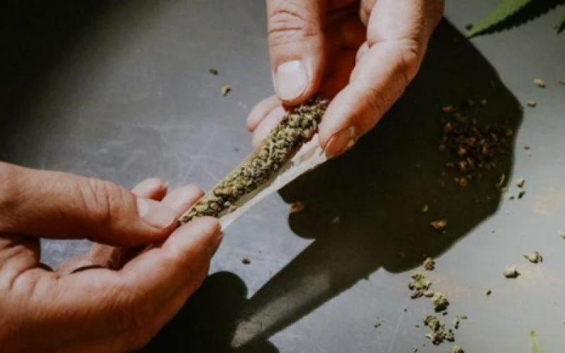 TRT-6 mantém demissão por justa causa de funcionário que guardava maconha em alojamento do trabalho