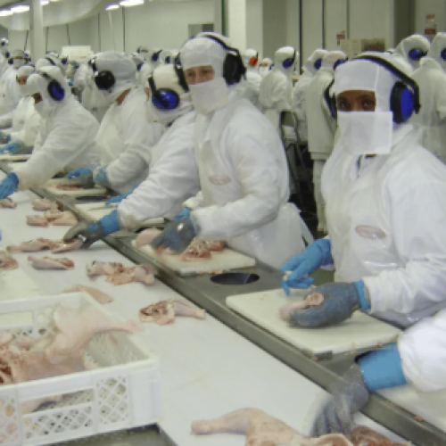 MPT firma acordo com frigorífico de Encantado (RS) para proteger gestantes expostas a ruído extremo