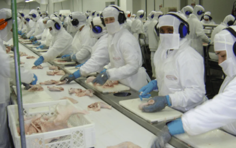 MPT firma acordo com frigorífico de Encantado (RS) para proteger gestantes expostas a ruído extremo