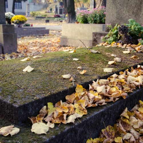 yellow autumn leaves covering old stone grave