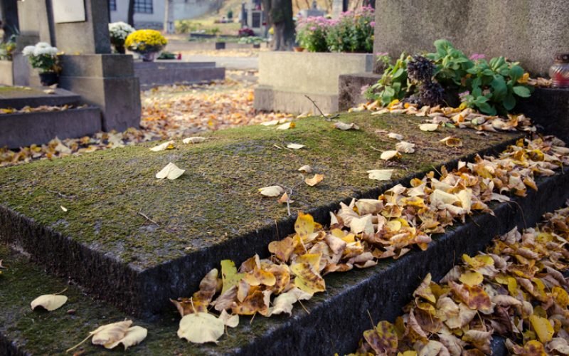 yellow autumn leaves covering old stone grave